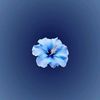 myriam_2340