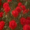 user4076052016121