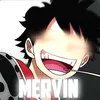 mervin_fizee