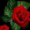 user7193973031657