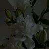 maryw47