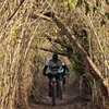 pedalando.bom.de