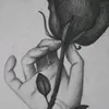 abo..mat.28