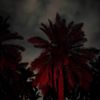 ry_nd8