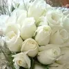 user240616298886
