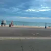 elliemaiboard