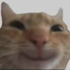 hello5654564