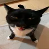 Memes_Fails