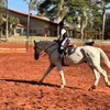 valentina_equestre