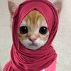 zahraa476_