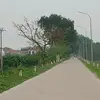 nam.mo._a.di.da.phat