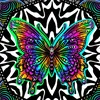 littlegardenhippie