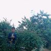 rshadalkamel1975