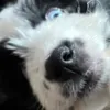 felixoso88