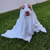 deedle_dude_813