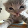 kirana_mdona