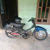 pirung.rrt