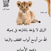 user2390902781803