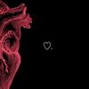 sh_ashrf
