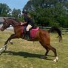 horseyonlyy