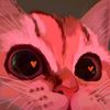 insan.ekitty