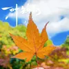 mr.to.japan