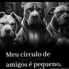 user7753823785331