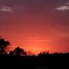 queenreddirt