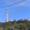 toha.ua1