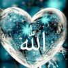 gul_apa07