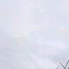 kmg_rooblox_bek_tnam