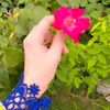 alimemon1410