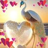 ben.brahim.yossra