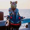 cbr_suc