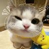 ore0ooo__