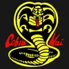 cobra_kai_edits7895