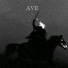 ave_343