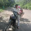 vanhien.ir