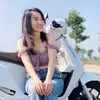Lyphan91