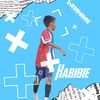 habibiedzikri16