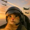 limy_7859