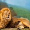 mohsan.bilal29