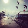 travel11_0