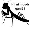 mdarrumreggae