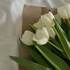 naila_0198