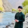 rahimi004
