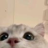 simplyjsphr
