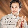 jahangerjani14