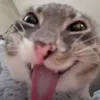 oizi1