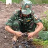 trong.hieu.nguyen4